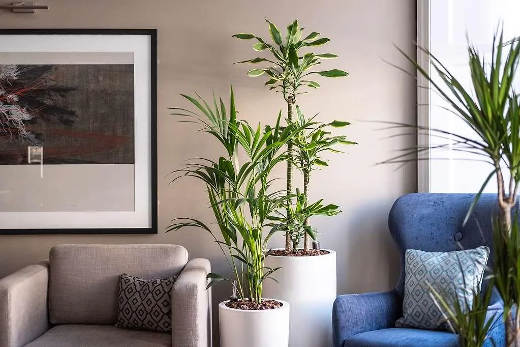 Heeton Concept Aparthotel Edinburgh Queen Street 4*,  בריטניה